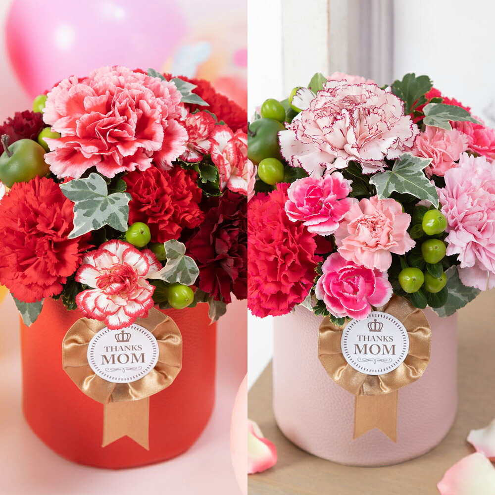 【楽天市場】母の日 アレンジメント「ロゼット～Thanks Mom～」 ギフト プレゼント 母の日ギフト 母の日プレゼント 花 メッセージ