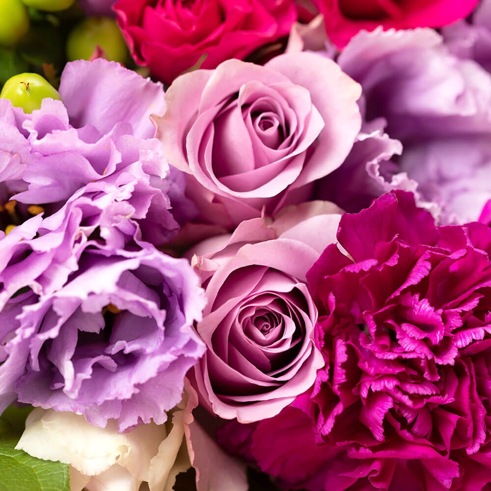 楽天市場 まだ間に合う 母の日 花束 エレガンス パープル ブーケ ギフト プレゼント 母の日ギフト 母の日プレゼント 花付き 贈り物 予約 フラワーギフト 21 誕生日 50代 60代 義母 継母 生花 ブーケ カーネーション 送料無料 バラ イイハナ ドットコム