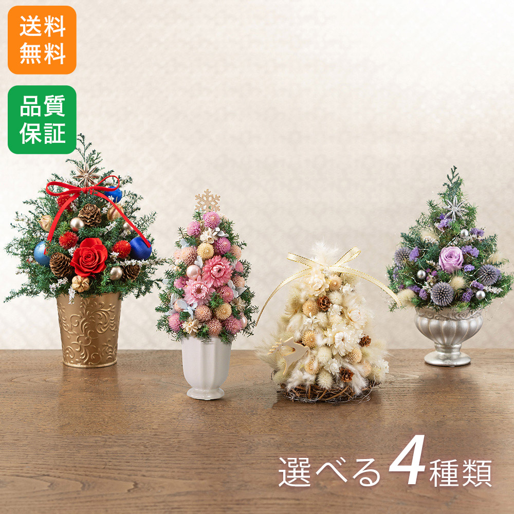 楽天市場】クリスマス ツリー ドライフラワー 卓上 選べる3種 ミニ