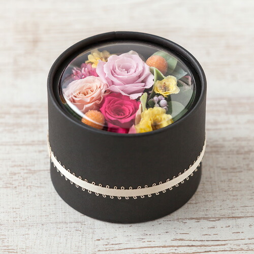 プリザーブドフラワーとスイーツセット せんねんの木 プチバウムケーキ 花 ギフト 誕生日 結婚記念 フラワー プレゼント お祝い 記念 贈り物 ブリザーブド ブリザード プリザード 枯れない 長持ち バームケーキ バウムクーヘン バームクーヘン バラ Napierprison Com