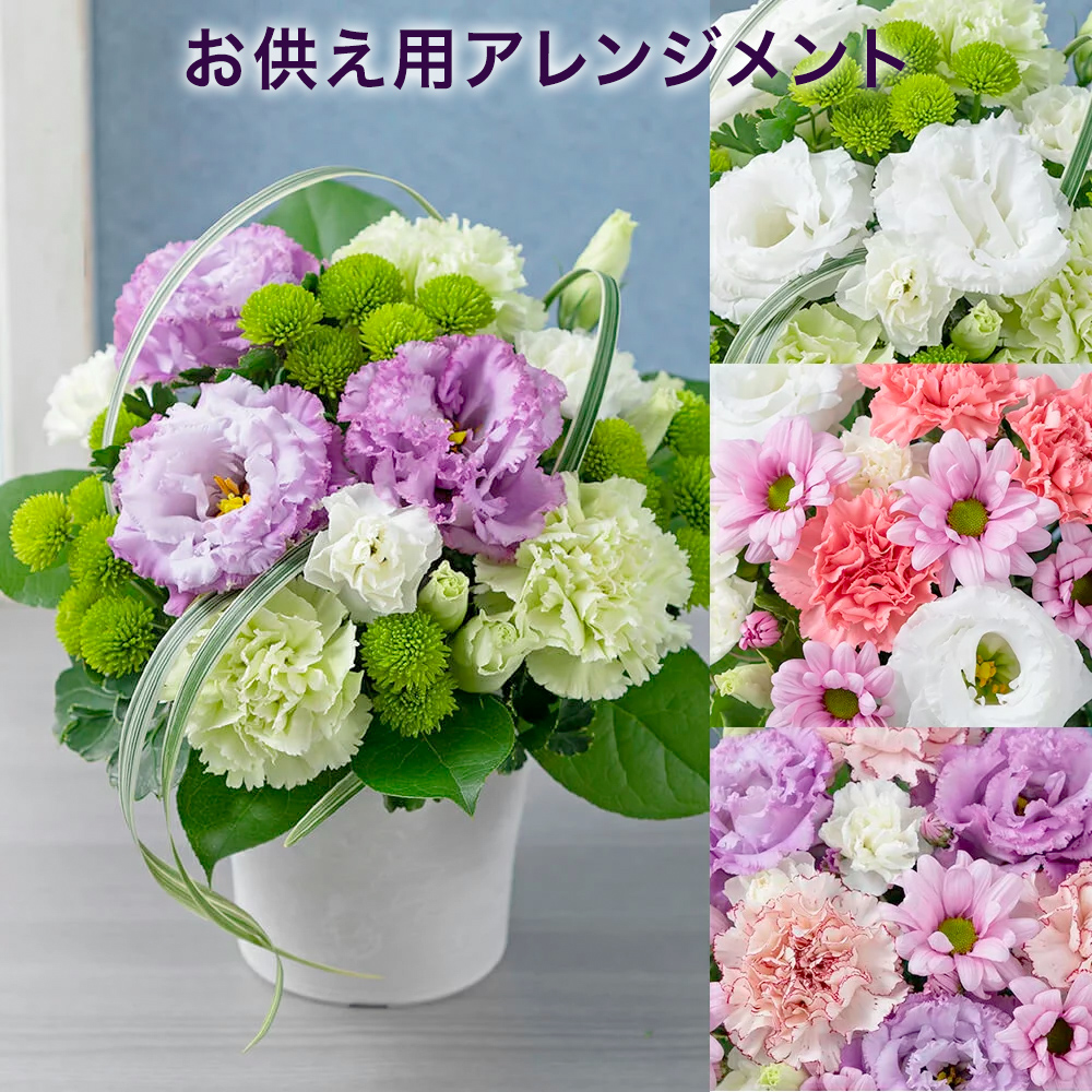 楽天市場 お悔み お供えの花 アレンジメント 花明かり 生花 フラワーアレンジメント 彼岸 お彼岸 お供え お悔やみ 法要 仏壇 初七日 一周忌 四十九日 三回忌 七回忌 供花 葬儀 供養花 法事 お盆 初盆 花 お供え花 仏花 仏事 命日 喪中見舞い 贈り物 菊 イイハナ