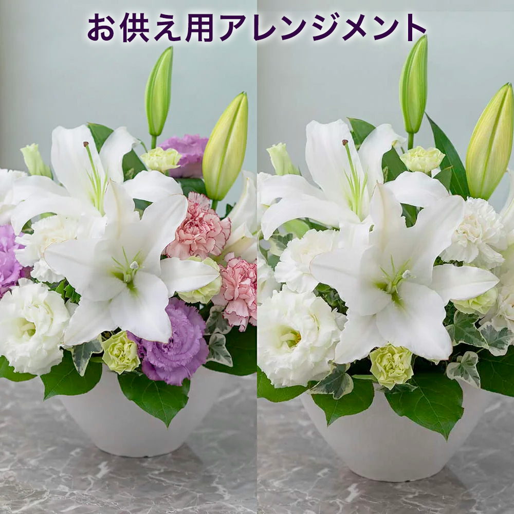 楽天市場 お悔み お供えの花 アレンジメント やすらぎ花 生花 フラワーアレンジメント 彼岸 お彼岸 お供え お悔やみ 法要 仏壇 初七日 一周忌 四十九日 三回忌 七回忌 供花 葬儀 供養花 法事 お盆 初盆 花 お供え花 仏花 仏事 命日 月命日 喪中見舞い 贈り物