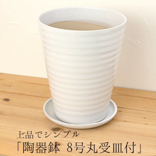 楽天市場】陶器鉢『デザイン陶器鉢 7号 丸 2個セット』白と黒 選べる