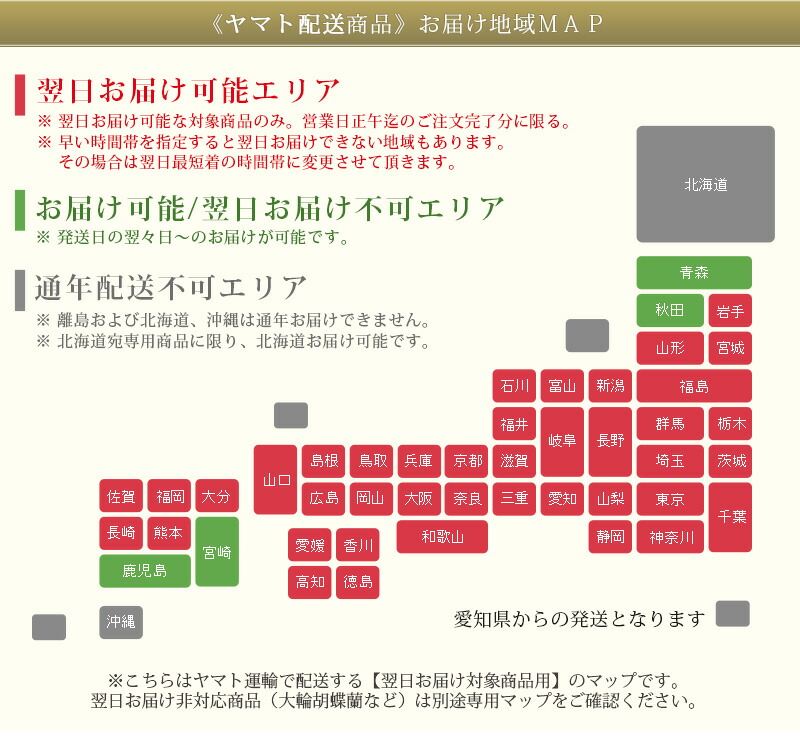 中輪胡蝶蘭 ３本立ち 大輪ではありません 中輪サイズの花です ミディ お祝い ３本立ち 特別品種 花 観葉植物 あす楽 開店祝い 農林水産大臣賞受賞 送料無料 就任 R Lovery3f 胡蝶蘭専門農園 蕾含む30輪程 ラブリーエフェクト Iファーマーらんぼ 誕生日 栄転 ミディ
