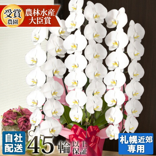 のど首押しかぶせる選び に迷ったら