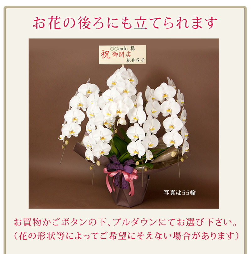 楽天市場 単品購入不可 対象胡蝶蘭のみ同梱可 ヒノキ木札 3号 立札 R Kihuda01 胡蝶蘭専門農園 Iファーマーらんぼ