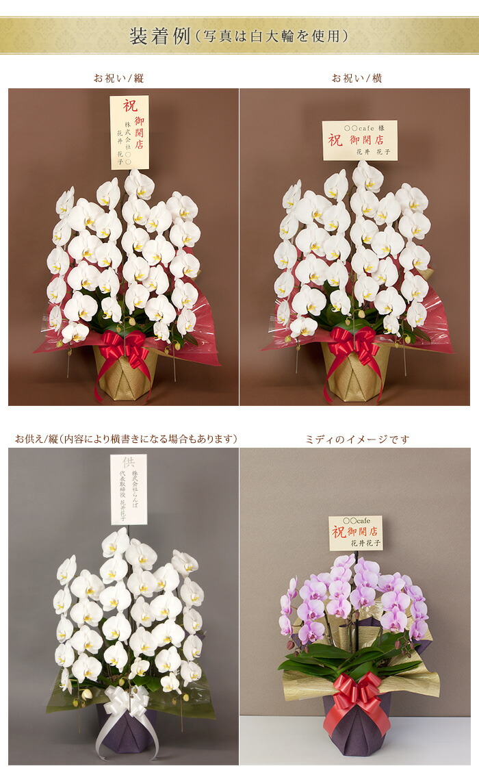 楽天市場 単品購入不可 対象胡蝶蘭のみ同梱可 名前が目立つ高く伸びてお花の上に立つ 立札棒 伸びる 伸縮 立札 お花の上 R Tatehuda 胡蝶蘭専門農園 Iファーマーらんぼ