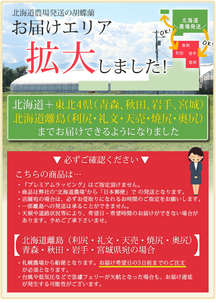 北海道宛 東北 県 北海道離島宛て専用 胡蝶蘭 大輪 本立ち 36輪 蕾含む 以上 お祝い 開店祝い 開業祝い 還暦 長寿 ギフト お供え R Tai0007 Fh Mergertraininginstitute Com