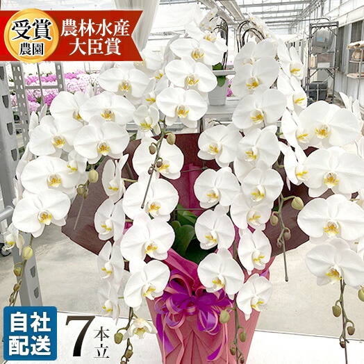 のど首取りまかなう選び に迷ったら