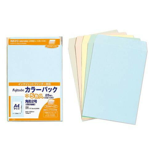 史上一番安い 100g 角2 送料無料 藤壺カラーパック 色込 レビュー投稿で次回使える00円クーポン全員にプレゼント文具 文具 玩具 Pk 2コミ 10セット 日用品雑貨 文房具 手芸 文房具 事務用品 Ab1