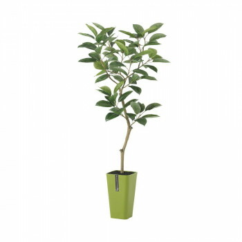 税込 観葉植物 送料無料 東北花材 Toka 人工樹木 デコラゴム Fst ガーデニング Diy 防殺虫 レビュー投稿 で次回使える00円クーポン全員にプレゼントガーデニング 花 植物 ｄｉｙ Www Mekatronik Org Tr