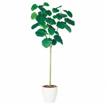 イーグルアイ店レビュー投稿で次回使える00円クーポン全員にプレゼント 花 観葉植物 Toka 送料無料 人工樹木 レビュー投稿 で次回使える00円クーポン全員にプレゼントガーデニング 花 植物 ｄｉｙ ウンベラータ Toka 花 ガーデン Diy ガーデニング Diy