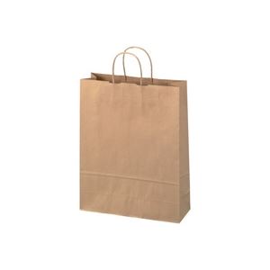 【送料無料】（まとめ）ジョインテックス 手提袋 丸紐 茶 大 50枚 B289J-B【×4セット】