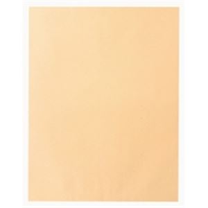 高春堂 ビッグ1封筒 741 クラフト 100枚入