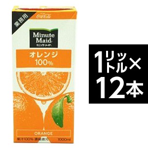 【送料無料】コカ・コーラ　（コカコーラ） ミニッツメイド オレンジ 100%　1L紙パック×12(6×2)本入【代引不可】