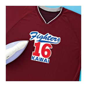 【送料無料】(まとめ)サンワサプライ インクジェット用化繊布用アイロンプリント紙 JP-TPRTENA6【×10セット】|イーグルアイ店