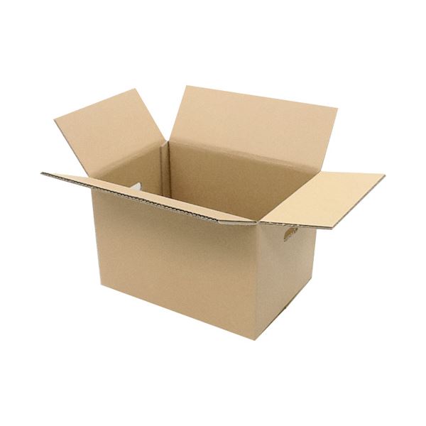 【貨物輸送無料】（まとめ） ジョインテックス ▲WF穴付ダンボール箱 大10枚 B242J-L【×3仕掛ける】