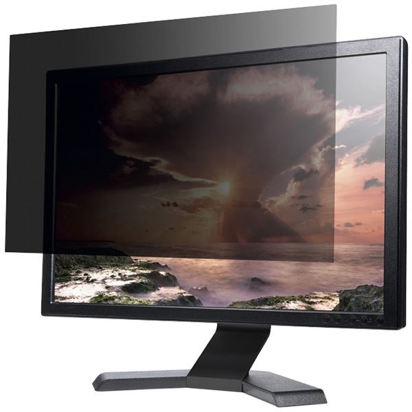 【送料無料】バッファロー 覗き見防止フィルター/19インチワイド用 BFN19W