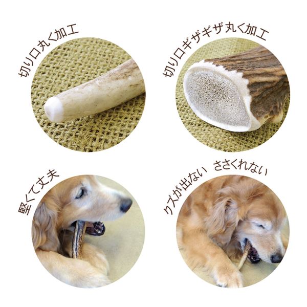 海外ブランド おもちゃ ペット L 犬 3セット ホビー エトセトラ 3セット レビュー投稿で次回使える00円クーポン全員にプレゼント イーグルアイ店レビュー投稿で次回使える00円クーポン全員にプレゼント L ペット用品 まとめ ベニソンアントラー