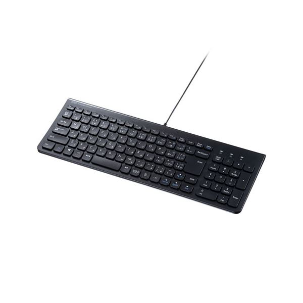 【送料無料】サンワサプライ USB Type-Cスリムキーボード SKB-SL31CBK