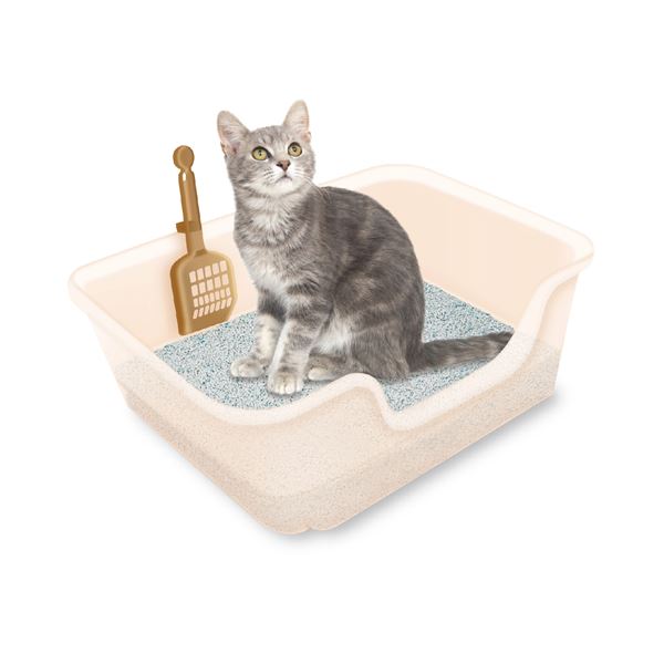 まとめ) 獣医師開発 ニオイをとる砂専用 猫トイレ トイレ用品 (猫用