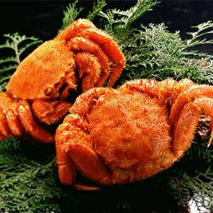 【送料無料】【北海道産】ボイル毛ガニ姿(約350g×2尾)【代引不可】