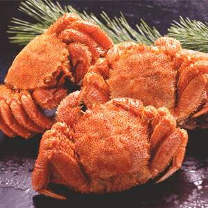 【送料無料】【北海道産】ボイル毛ガニ姿（約350g×3尾）【代引不可】