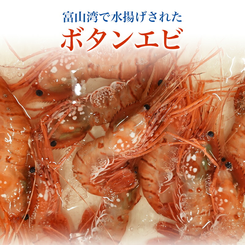 ボタンエビ 送料無料 海老 エビ 塩焼き 酒の肴 ご飯のお供 珍味 富山 お祝い ごちそう 刺身 お祝い 五本水産 お取り寄せ グルメ 富山湾 海鮮 業務用 業者様向け 法人 飲食店向け ご自宅用 ギフト 贈り物 大容量 お得用 お取り寄せグルメ|かいものパレット