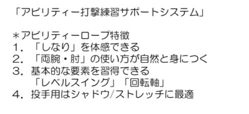 楽天市場 甲子園出場校使用 野球打撃サポートアイテム アビリティーロープ 野球部 高校野球 ボーイズリーグ 素振り バッティング スイング 自主練 自主トレ 練習メニュー 打撃 しなり トレーニング アイテム 打率アップ 硬式 軟式 学校 クラブ チーム おすすめ