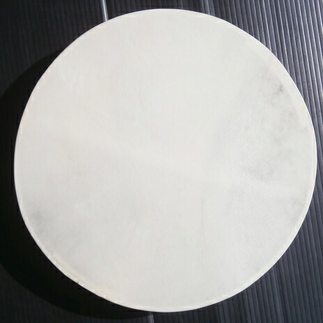 楽天市場】【オーシャンドラム〜LL〜】 （フレームドラム/ハンド