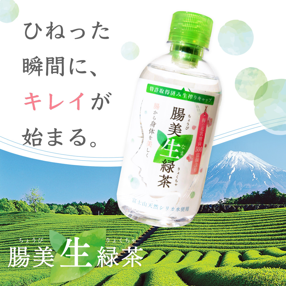 腸美生緑茶 ペットボトル 350ml 48本セット 瞬間パウダー製法で淹れたての美味しさ 静岡県産 牧之原茶 大分県産 梅の花乳酸菌 富士山 天然シリカ水 使用 Umu Ac Ug