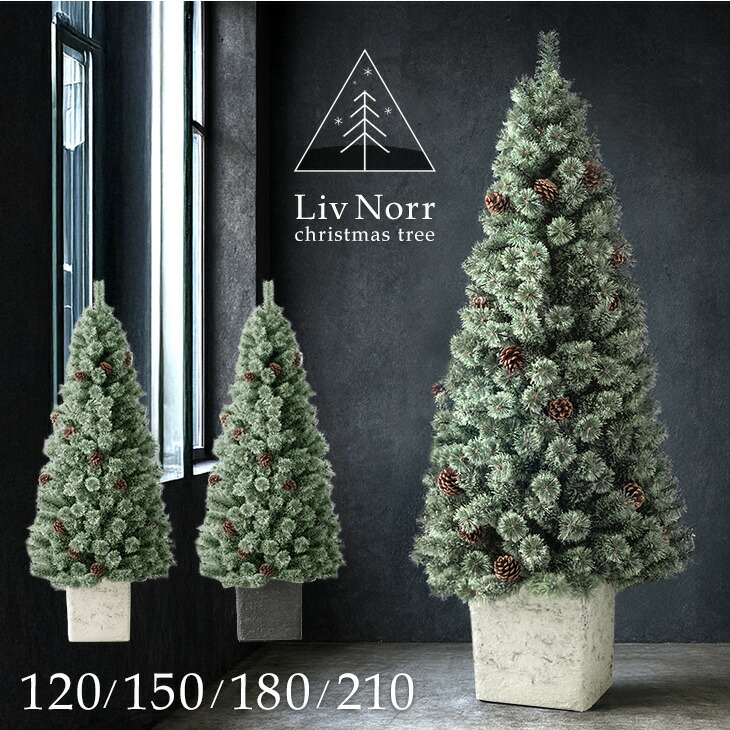 RENEW ヌードツリー Liv Norr 石目調 ポット付き 120cm 150cm 180cm 210cm 松ぼっくり付 ヌード ツリー リアル クリスマスツリー クリスマス 120 150 180 210 松ぼっくり スリム 大型 北欧 足元 隠し リヴノール おしゃれ 11,519円