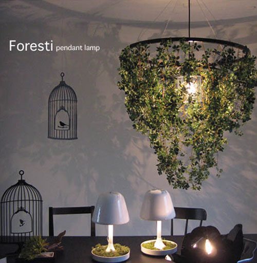 楽天市場】日々の暮らしをちょっとずつ癒してくれる【DI CLASSE(ディ