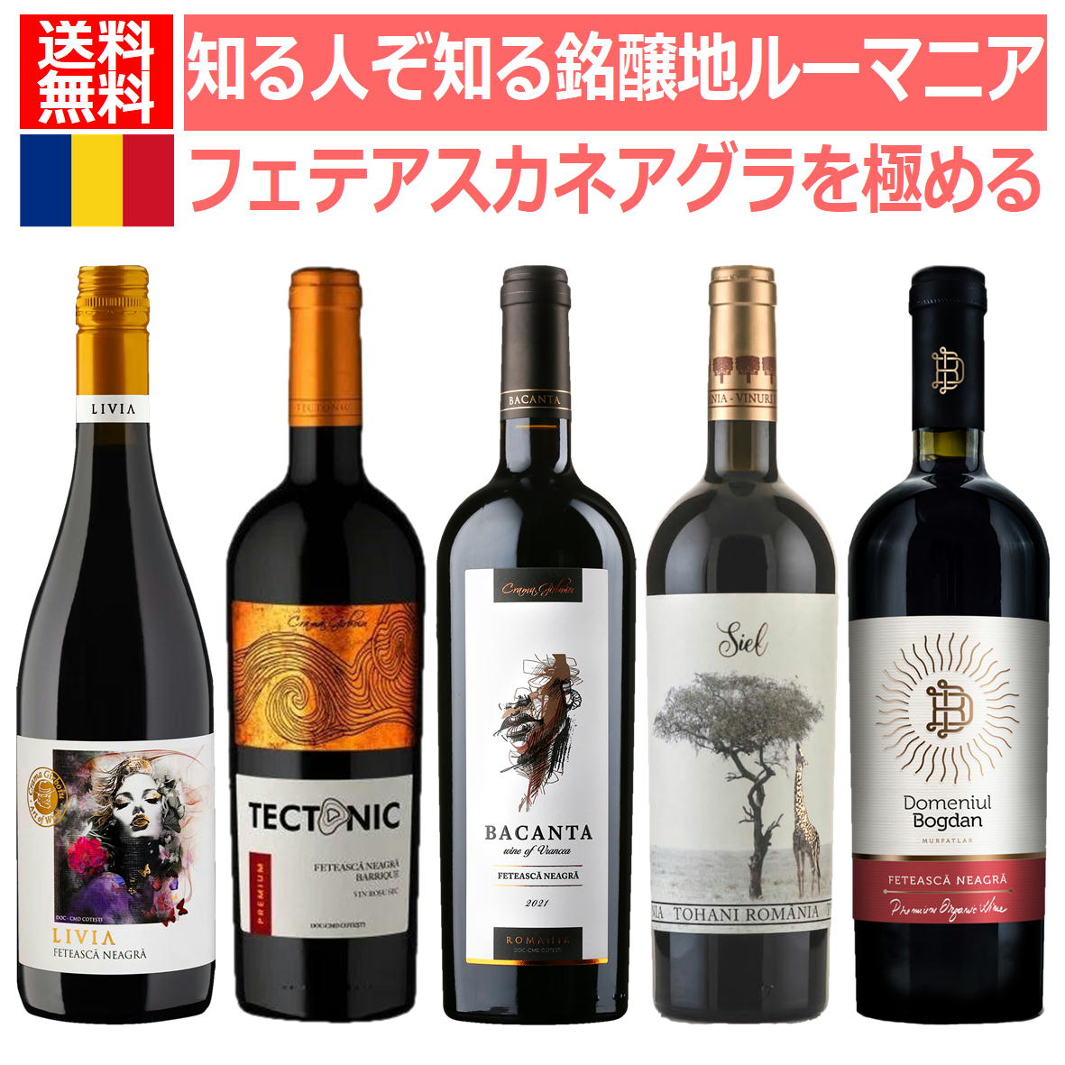 送料無料 知る人ぞ知る銘醸地東欧の秘境ルーマニアの代表的土着品種”フェテアスカネアグラ”を極めるセット　version.33　ルーマニアワインセット　ルーマニア　赤ワイン　黒い乙女　土着品種　フェテアスカネアグラ