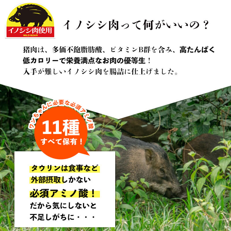 即日発送 猫 おやつ 国産 猫用 鶏ささみと猪のキューブ 35g 2個セット メール便送料無料 1000円ポッキリ 猫のおやつ 国内生産 日本製 着色料不使用 小麦粉不使用 グルテンフリー 鶏肉 イノシシ 猫おやつ 猫用おやつ ペットフード キャットフード 送料対策 サポート