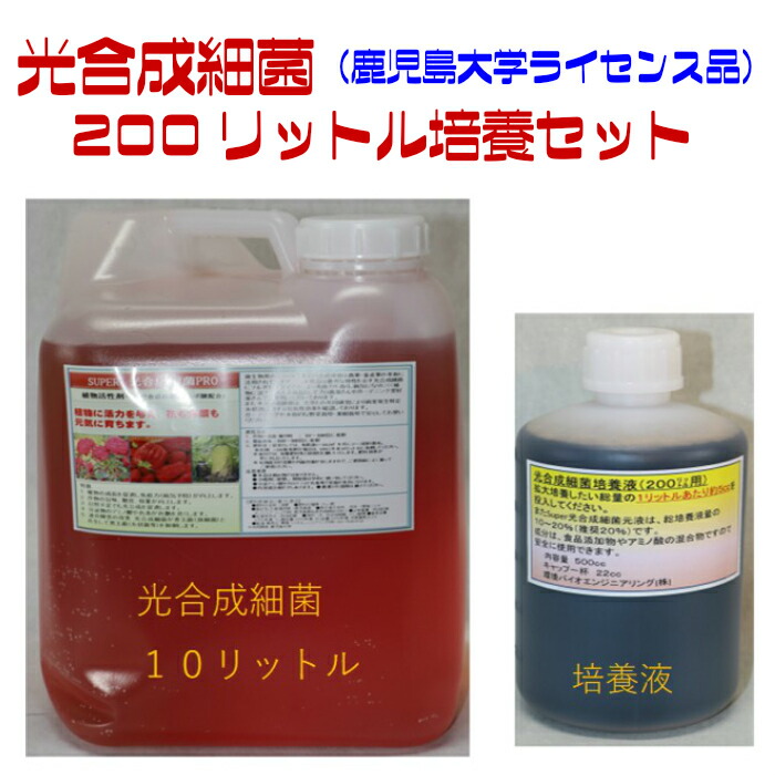 光合成細菌 Amazon.co.jp: 濃厚！PSB 光合成細菌 【お得な1リットル×4本