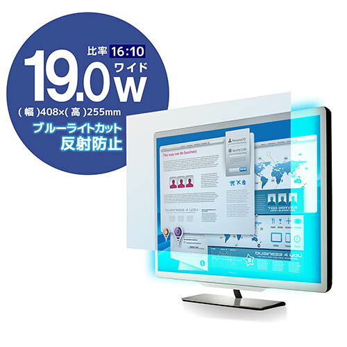 エレコム ELECOM EF-FL19WBL ブルーライトカット 液晶保護フィルム 19インチワイド EFFL19WBL