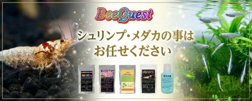 楽天市場】【BeeQuest】 マジックリーフ(ちぎりタイプ) 高濃度フルボ酸