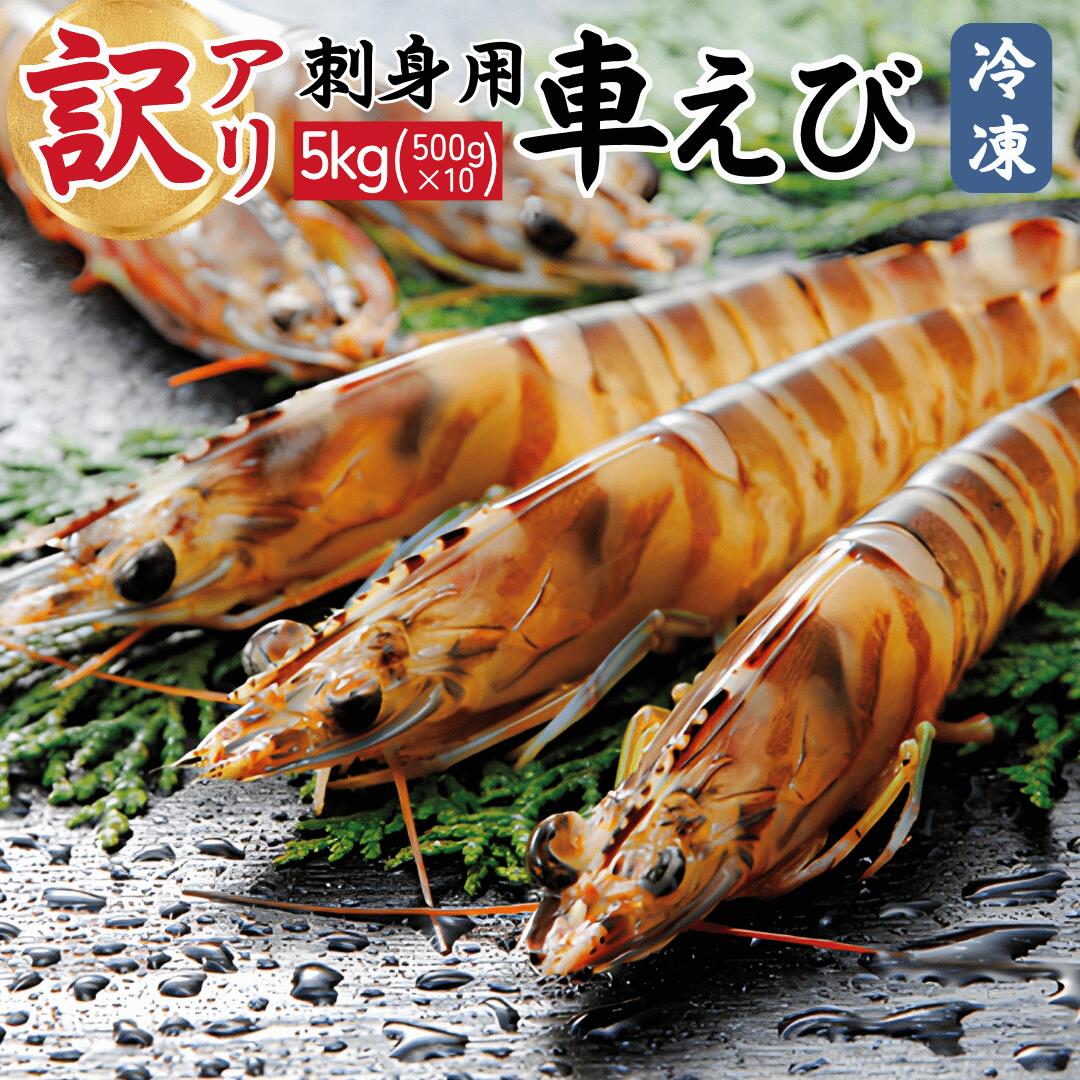 車海老 秋穂 【活き〆超急速冷凍】 【訳あり 5kg】 刺身自宅 自分 大容量 お徳用 活き〆超急速冷凍車えび 車エビ 焼き フライ 塩焼き 山口県 山口市 秋穂 養殖 クルマエビ 渡辺水産 直売所 旬 食べ方 産地直送 5kg 中元 父の日|えび屋 渡辺水産 店