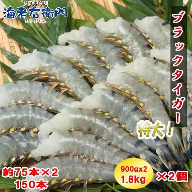 競売 まとめてお得 たっぷり2個 約150本入り活〆ブラックタイガー 無頭えび 16 特大サイズ 900gx2x2個 冷凍えび 海老 エビ 美味しい海老 美味しいエビフライ 冷凍エビ Fucoa Cl