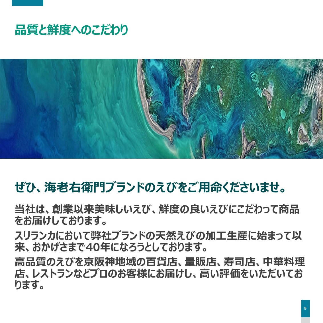 楽天市場 長さ２5センチ級 天然有頭シータイガーえび 1 5kg 15尾サイズ 海老 エビ 冷凍えび スリランカ バーベキュー エビフライ 有頭えび 美味しい海老 美味しいエビフライ えび専門店 海老右衛門