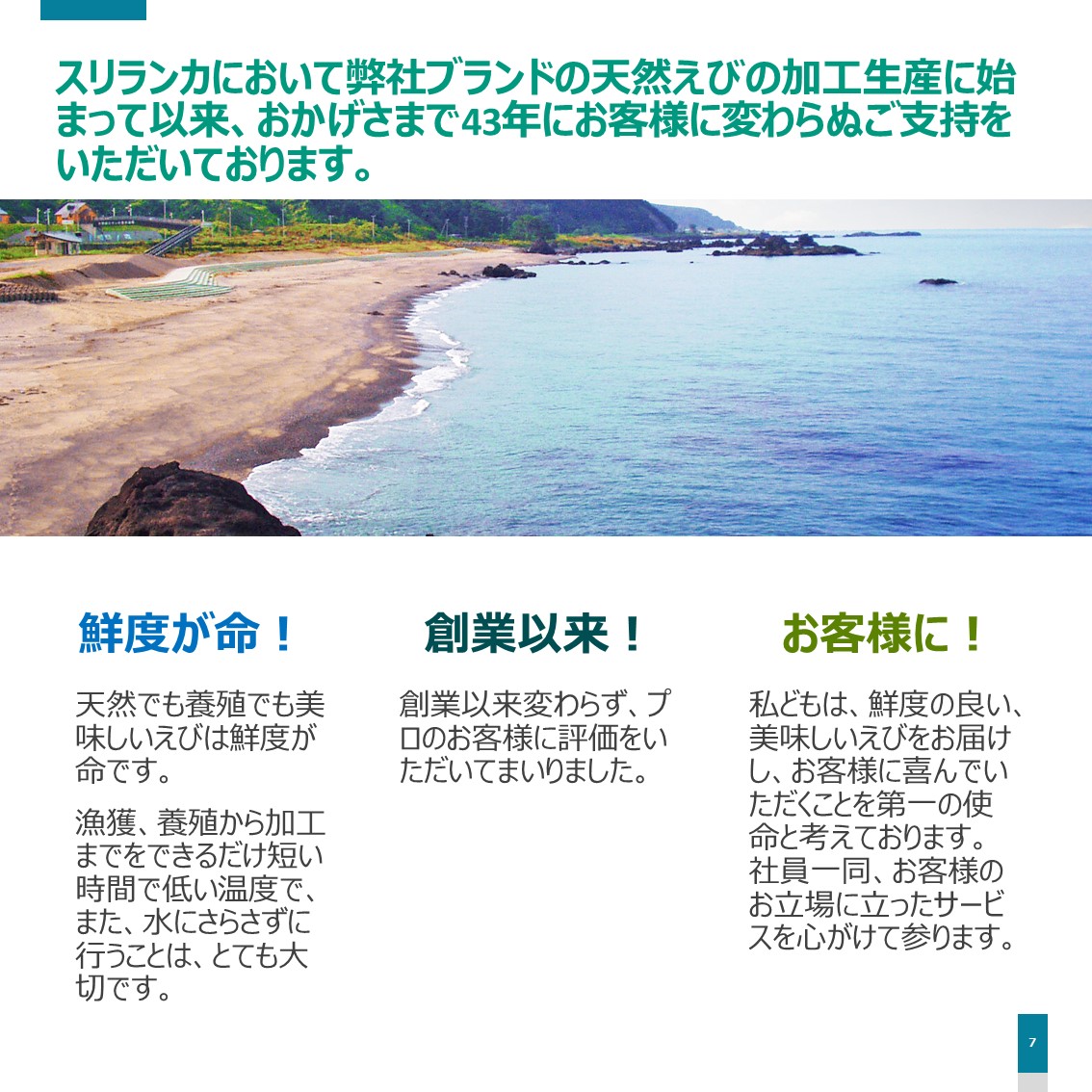 楽天市場 長さ２5センチ級 天然有頭シータイガーえび 1 5kg 15尾サイズ 海老 エビ 冷凍えび スリランカ バーベキュー エビフライ 有頭えび 美味しい海老 美味しいエビフライ えび専門店 海老右衛門