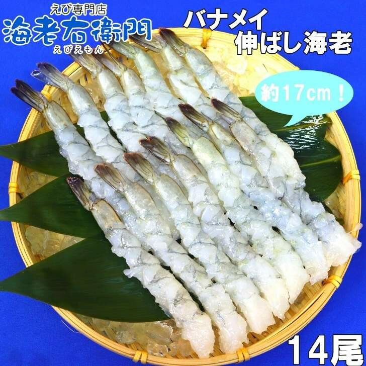 国内在庫】 尾付きムキ海老 特大 ８Ｌ １５尾×5パック 関東 送料無料 約16~17cm エビフライ 海老天ぷら 海老天丼  materialworldblog.com