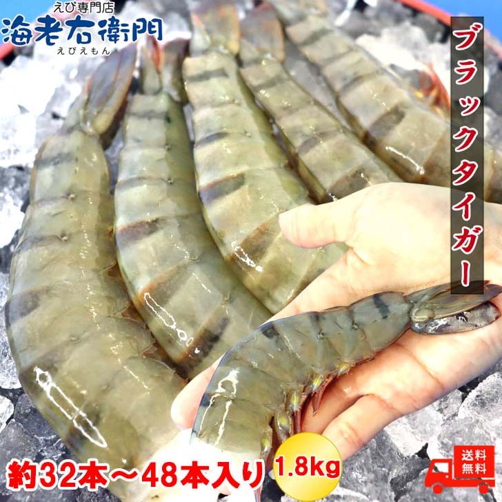 超特大 サイズ 約32～48本入り 8/12 サイズ 活〆 ブラックタイガー 無頭えび 900g×2 1.8kg えび 海老 エビ 冷凍 大きい でかい ジャンボ 無頭 大海老 大エビ 冷凍エビ 無頭海老 エビフライ用 天ぷら エビ天ぷら えびちり バーベキュー まとめ買い エビフライ ギフト 業務用