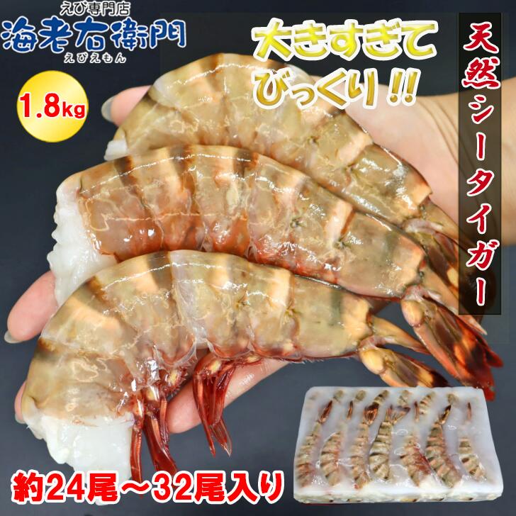 超超特大 6/8サイズ 約24尾～32尾入り 天然シータイガー 無頭えび 1.8kg 特大 エビ 海老 海鮮 えび 大 プリプリ お取り寄せ バーベキュー BBQ海鮮 Bbq 食材 鉄板焼き 具材 大人数 無頭 冷凍エビ 天然海老 天ぷら エビフライ 特大海老フライ ジャンボ 高級海鮮 海鮮物 業務用