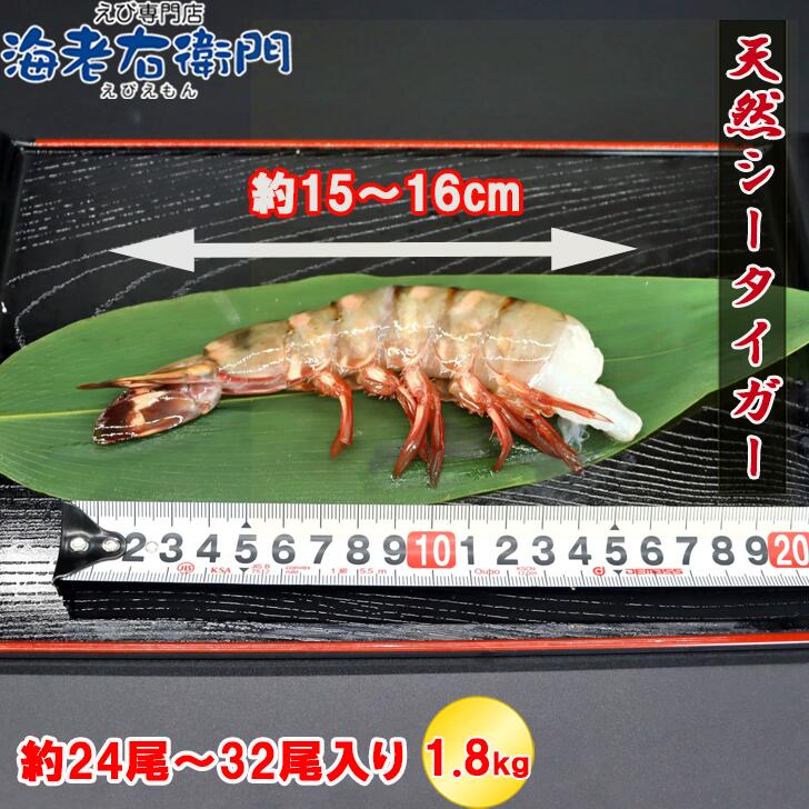 超超特大 6/8サイズ 約24尾〜32尾入り 天然シータイガー 無頭