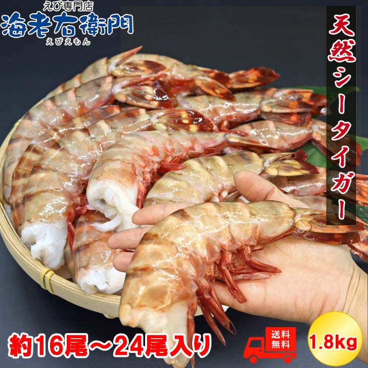 超超超特大サイズ 約16尾～24尾入り<br>4/6サイズ<br>天然シータイガー 無頭えび<br>1.8kgです。<br>特大 巨大 天然ブラックタイガー 高級 海鮮 プリプリ バーベキュー から付き 無頭 えび 冷凍エビ エビ 海老 天ぷら エビフライ えびちり 業務用