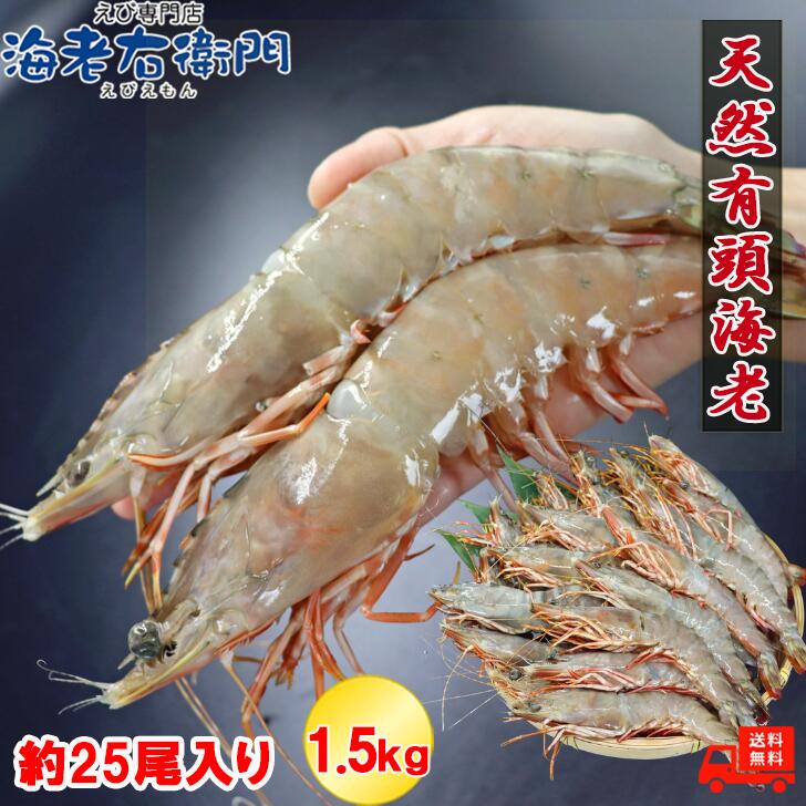 天然 有頭海老 1.5kg 25尾 長さ20cm級 有頭エビ 特大 フラワー 海老 エビ 大 有頭 巨大 冷凍 えび 高級 美味しい エビフライ 大きい 海鮮 焼き 具材 お取り寄せ 天然エビ 冷凍エビ 冷凍えび 天然エビフライ 有頭エビフライ 海老天ぷら バーベキュー bbq 父の日 食べ物 業務用