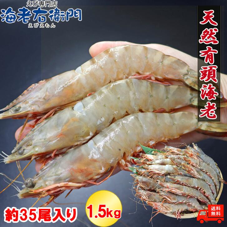 天然 有頭海老 1.5kg 35尾 長さ17cm級 有頭エビ 特大 フラワー 海老 エビ 有頭 巨大 冷凍 えび 冷凍エビ 冷凍えび 海鮮バーベキュー お取り寄せ BBQ海鮮 Bbq 食材 海鮮 高級 美味しい エビフライ 大きい 天然エビ 有頭エビフライ えび天ぷら 父の日 海老ギフト 業務用
