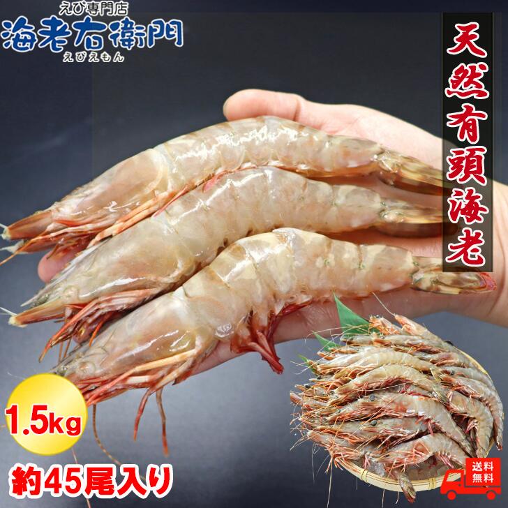 天然 有頭海老 1.5kg 45尾 長さ16cm級 有頭エビ 特大 海老 有頭 巨大 フラワー 冷凍 えび 高級 美味しい 大きい 海鮮 バーベキュー bbq食材 お取り寄せ 天然エビ 冷凍エビ 冷凍えび 冷凍海鮮 やきえび エビフライ 有頭エビフライ エビの天ぷら 父の日 食べ物 鉄板焼き 業務用